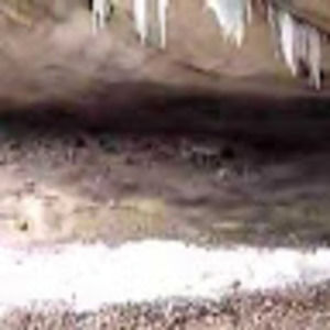 Meet your Posher, Dave